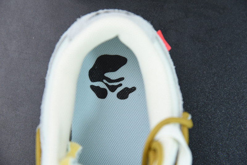 of x dunk low