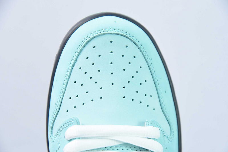 T*f*ny & co. x nike dunk low bv1310-402